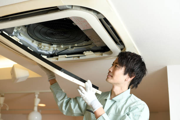 Best Professional Duct Cleaning Services  in Pinewood, FL